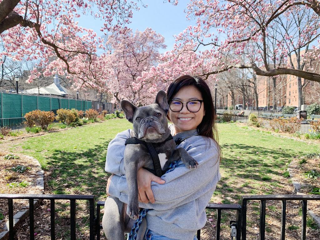 Jefe, French Bulldog, Jenny Fu, New York City