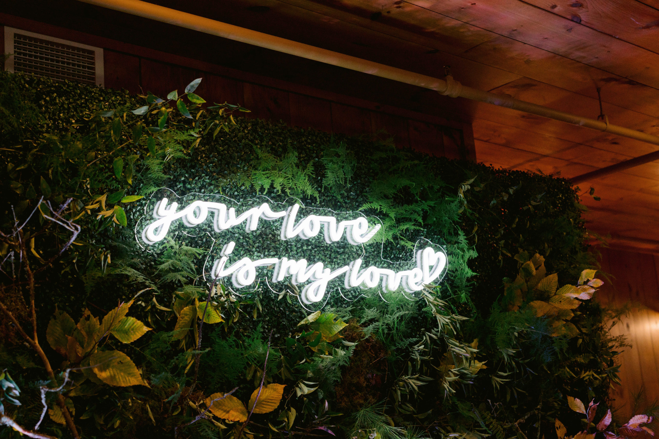 You Love is My Love, Vermont, Jenny Fu Photography, Jenny Fu Studio