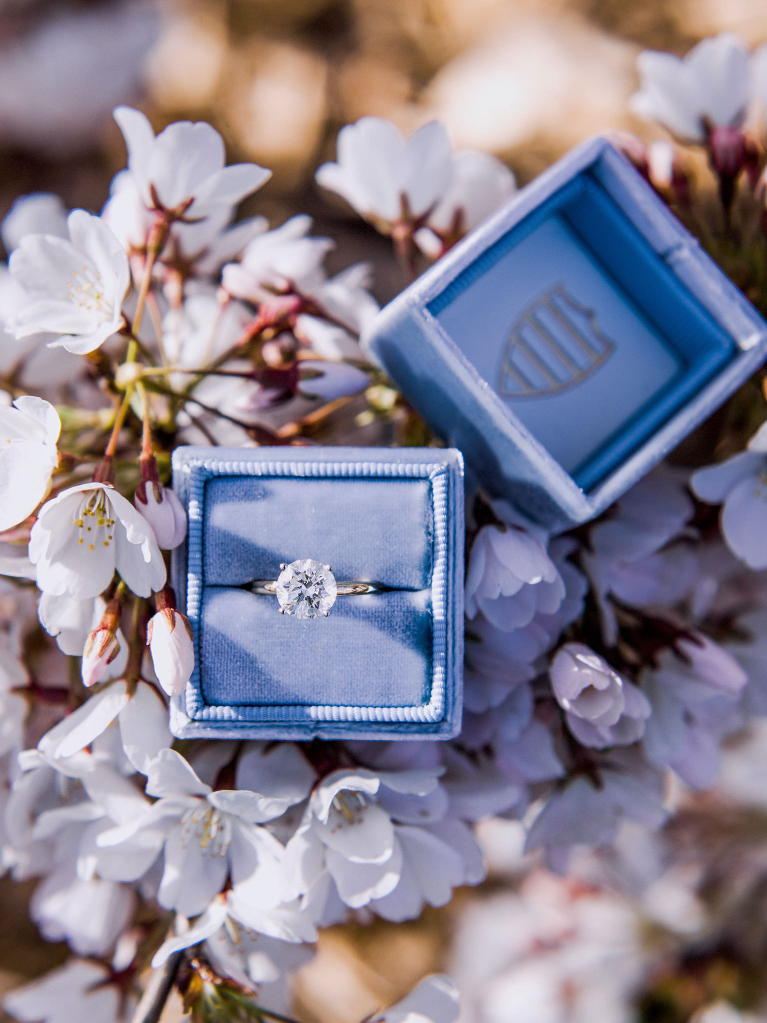 diamone engagement ring in baby blue velvet ring box sitting on top of cherry blossoms