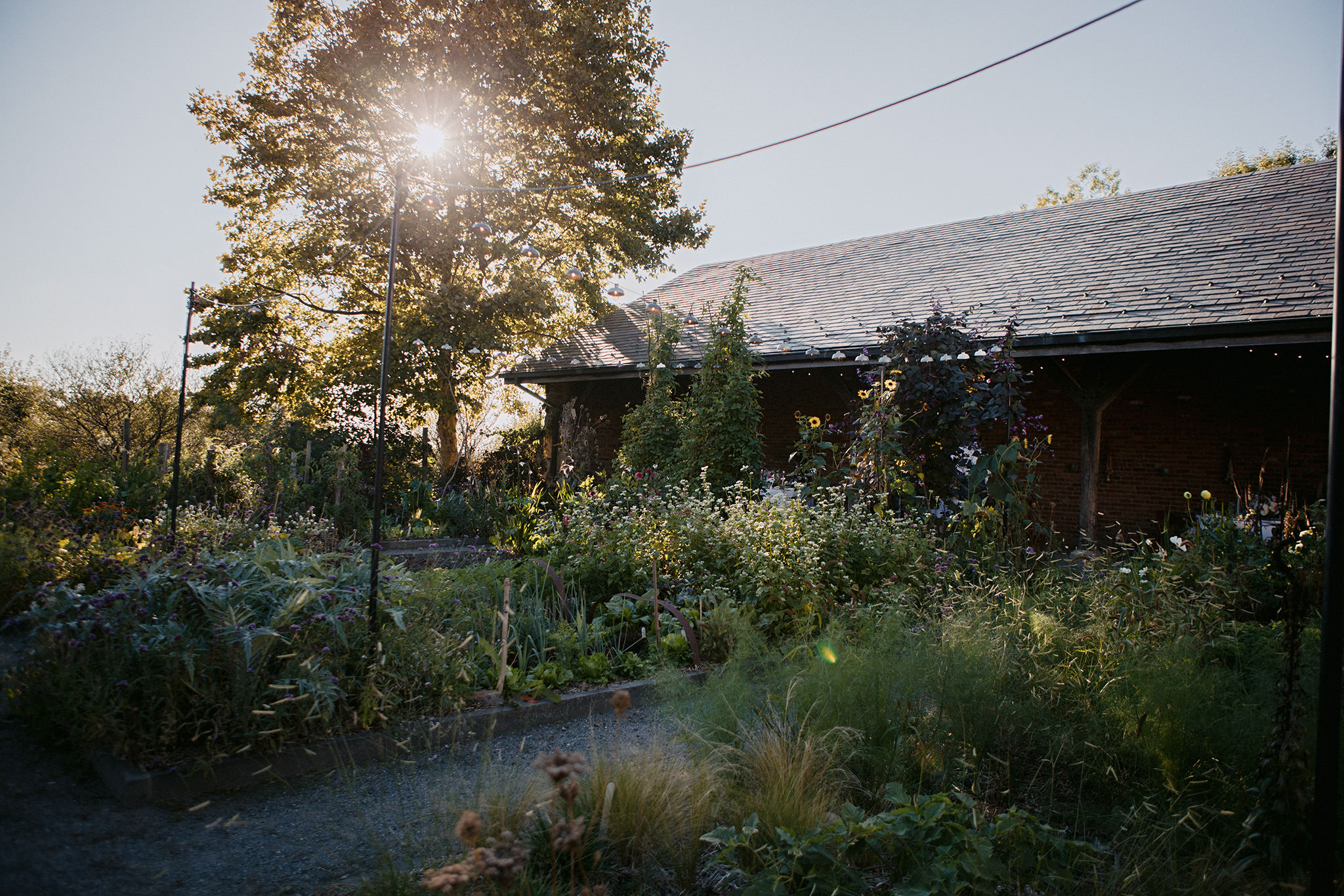 Garden at Blue Hill at Stone Barns