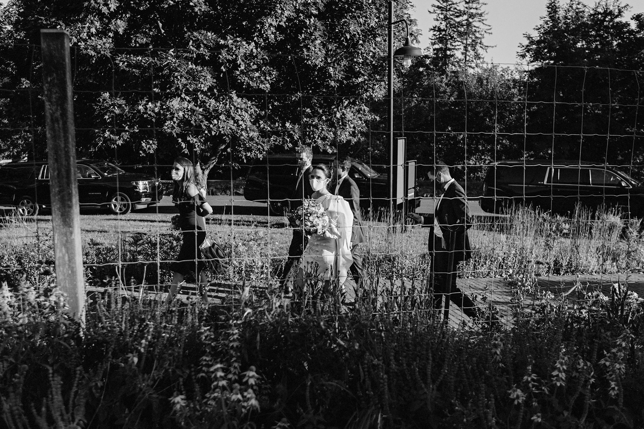 Masked wedding party enters their reception at Blue Hill at Stone Barns