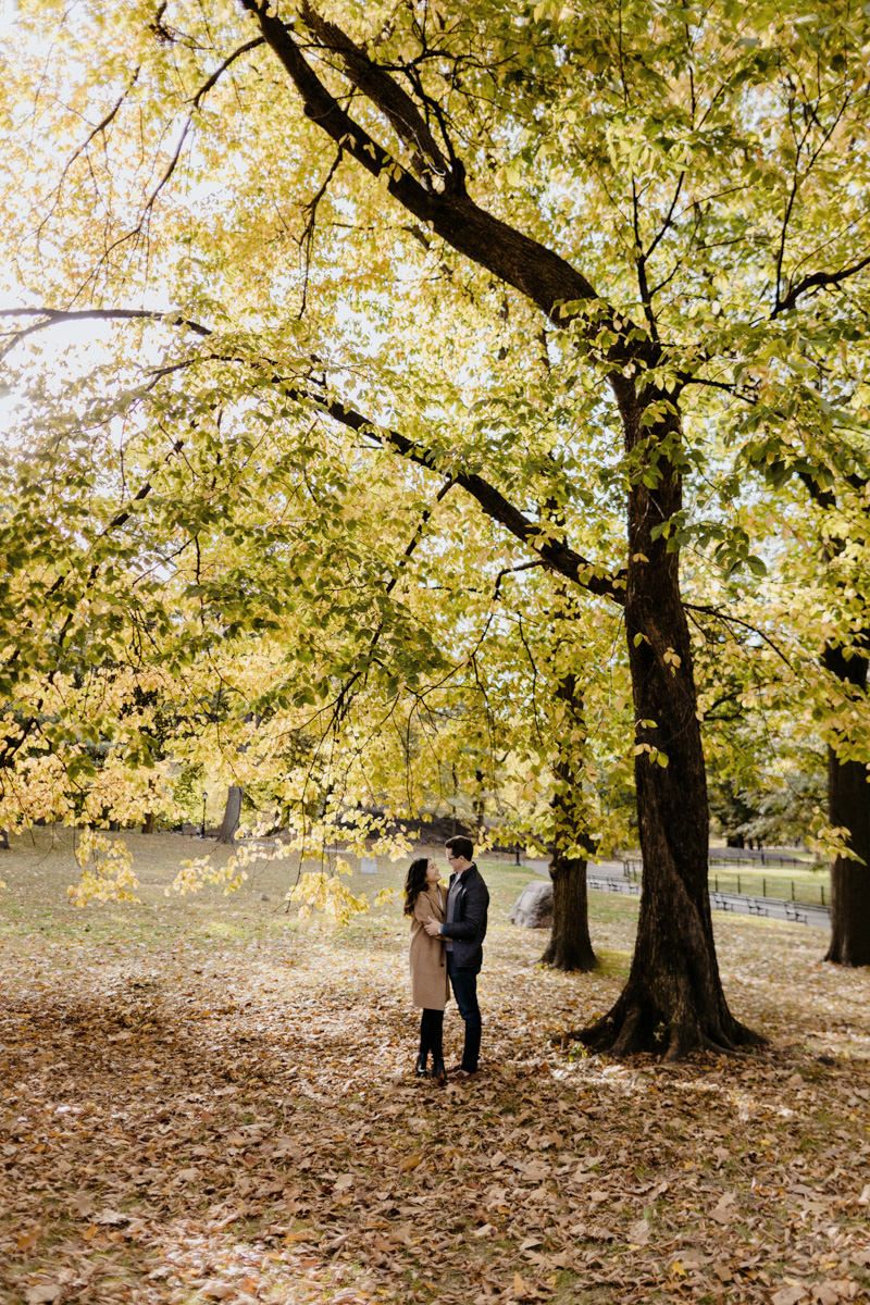 Couple far from the camera, under a very big tree with yellow leaves and with fallen brown leaves on the ground
